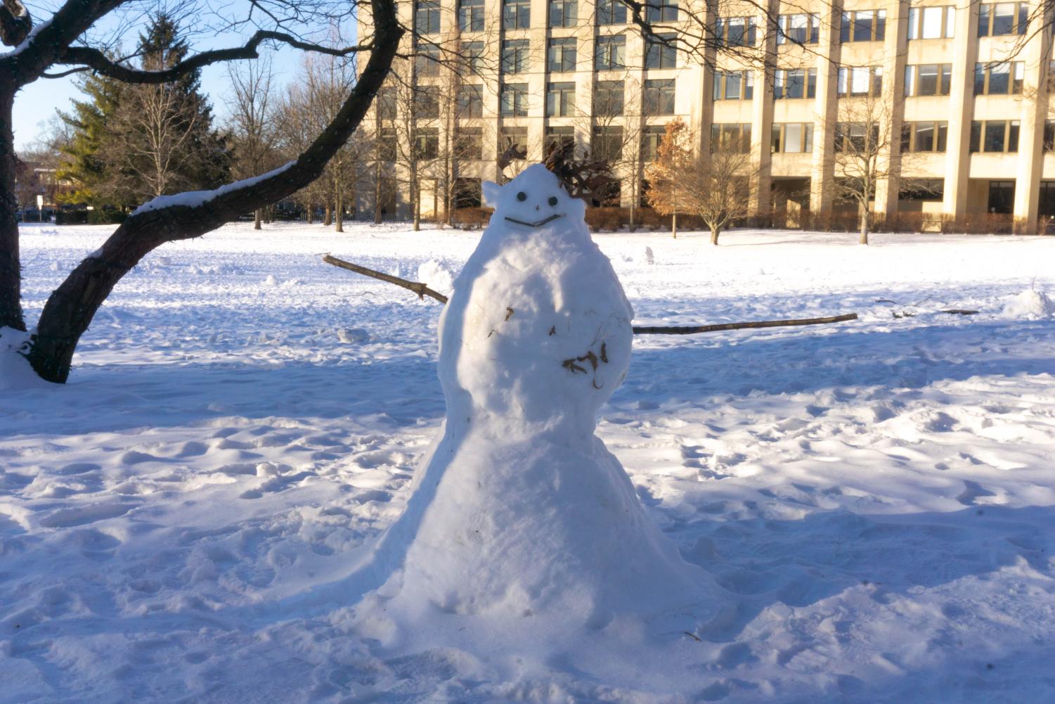 A smiling snowman with leaves on its head in a snowy field.