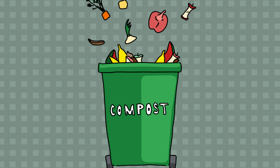 A green bin labeled “compost” with food scraps falling into it, on a green checkered background.