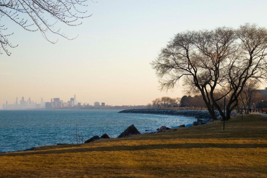 Lake Michigan bordering green grass and the city skyline in the background.