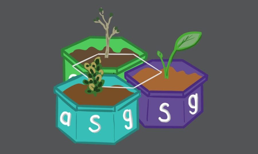 Three potted plants in teal, green and purple containers with letters reading “ASG.”