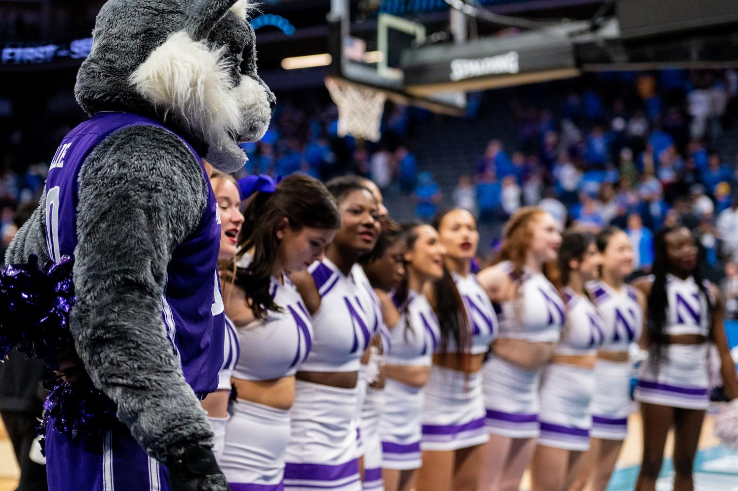 A group of cheerleaders in white-and-purple stand together next to a gray wildcat mascot wearing a purple jersey.