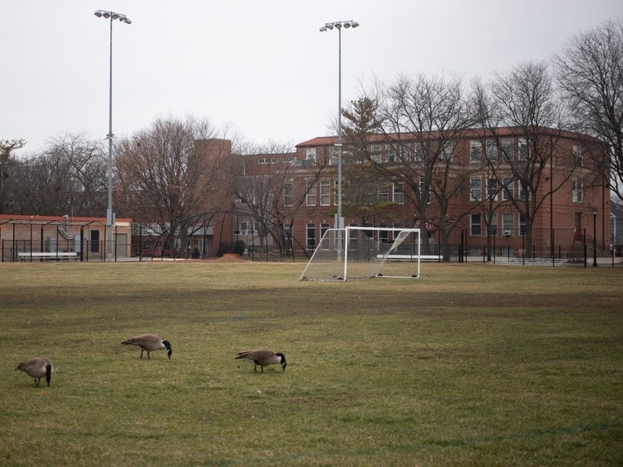 a+field+with+a+soccer+field%2C+field+lights%2C+geese+grazing+and+a+brick+building+in+the+background