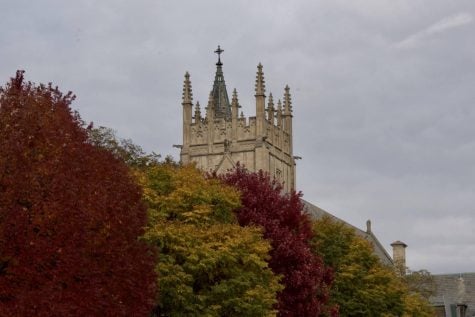 A tan tower rises up behind a diagonal row of an orange tree, a yellow-green tree, a red tree and another yellow-green tree.