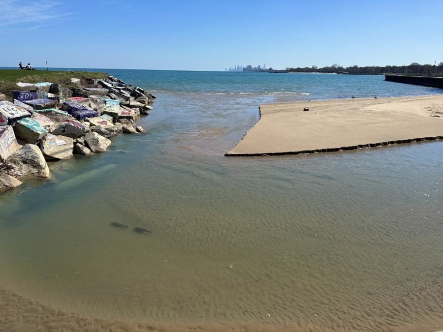 A landscape photo of lake Michigan. Northwestern’s lakefill with painted rocks in the left frame, lake in the center frame with a sandbar and the Chicago skyline in the background. Blue-ish green water shows shadows of two fish.