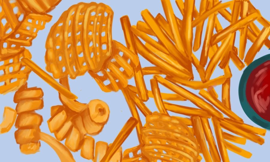 A collection of french, curly and waffle fries, all orange, illustrated in front of a light blue background with a bowl of ketchup drawn to the right.