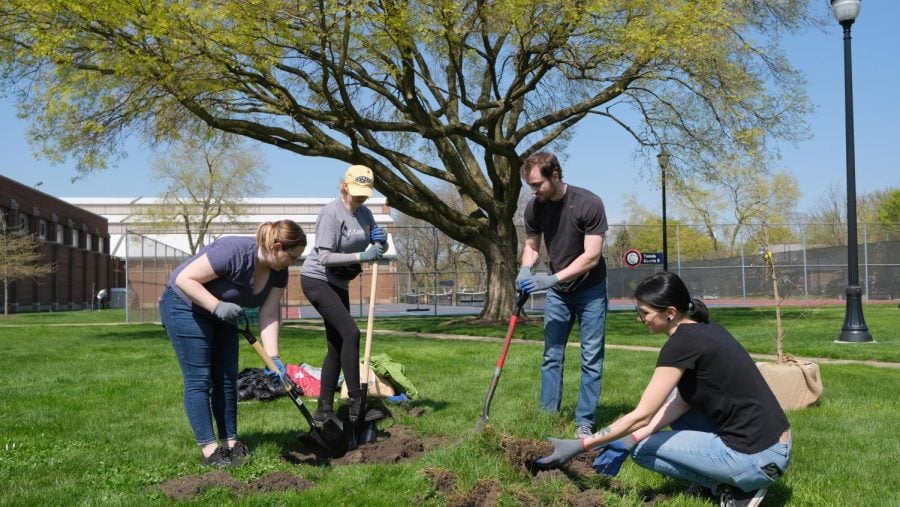 Four people holding shovels and other gardening tools plants a sapling.