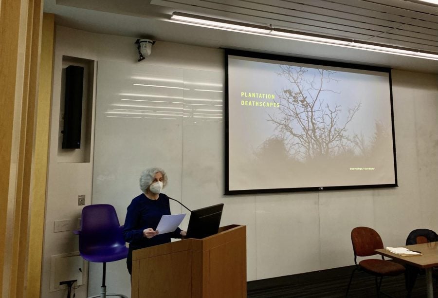 A white-haired woman wearing glasses and a mask stands at a podium. The projector screen next to her features a photo of a dead tree and yellow text that reads, “Plantation Deathscapes.”
