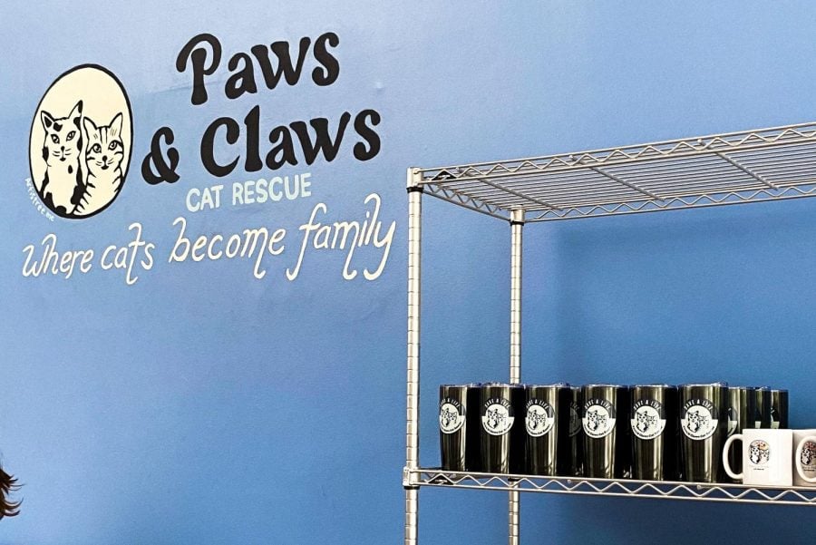 Blue wall with a company logo that reads “Paws and Claws cat rescue” next to a shelf of mugs and sweatshirts.