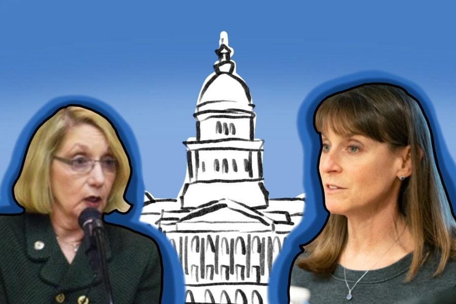 Cutouts of State Rep. Robyn Gabel and State Sen. Laura Fine with dark blue shadows over a sketch of a government building on a light blue background.