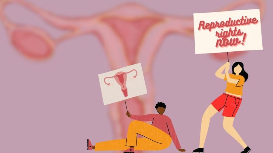 People holding signs showing a uterus diagram with a uterus in the background.
