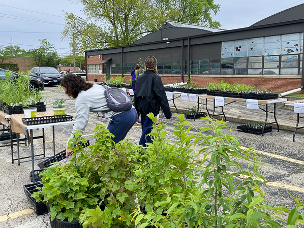 Three shoppers browse two rows of plants set up on tables in the parking lot in front of the District 65 warehouse on a cloudy day.