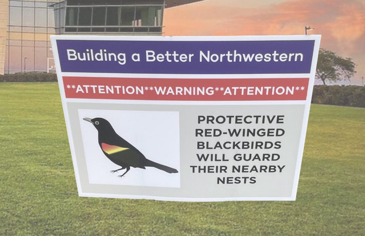 A sign showing an illustration of a bird sits in grass.