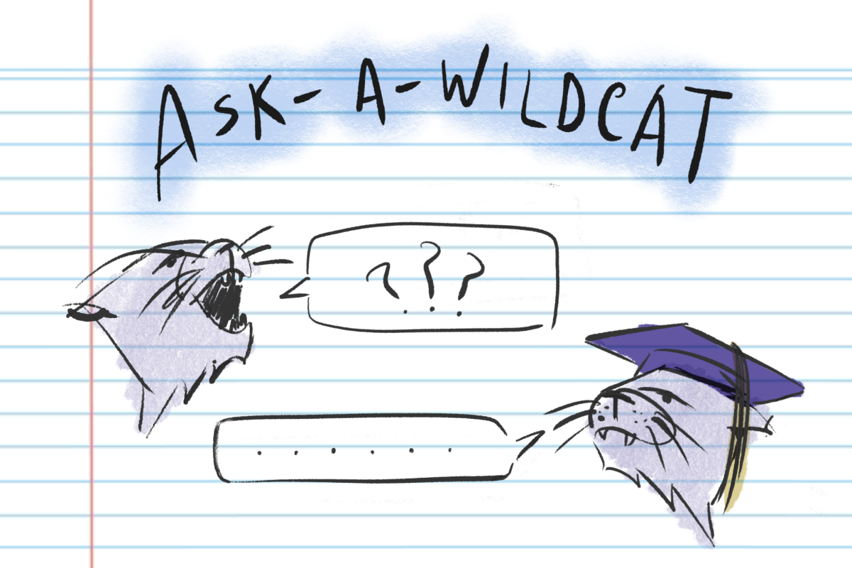 Northwestern students’ newest friend: AI program ‘Ask a Wildcat’ connects students and alumni
