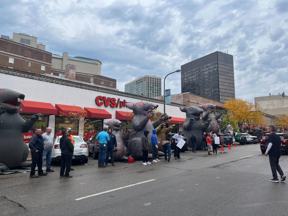 Several inflatable rats line Sherman Avenue outside CVS at a Thursday morning rally.