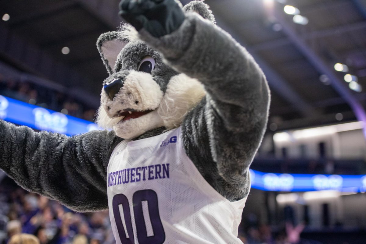A wildcat mascot in a white jersey raises its arms.