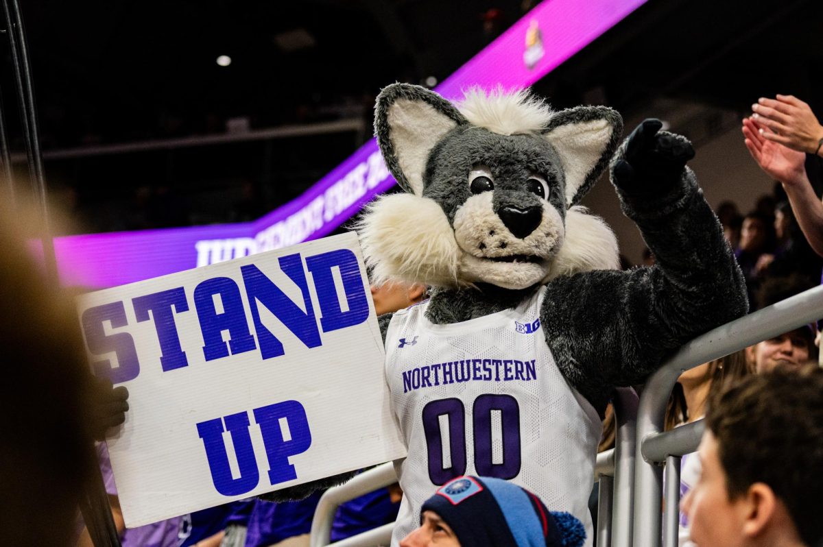 A wildcat mascot points to the crowd and holds up a white and purple sign reading “stand up” in capital letters. 