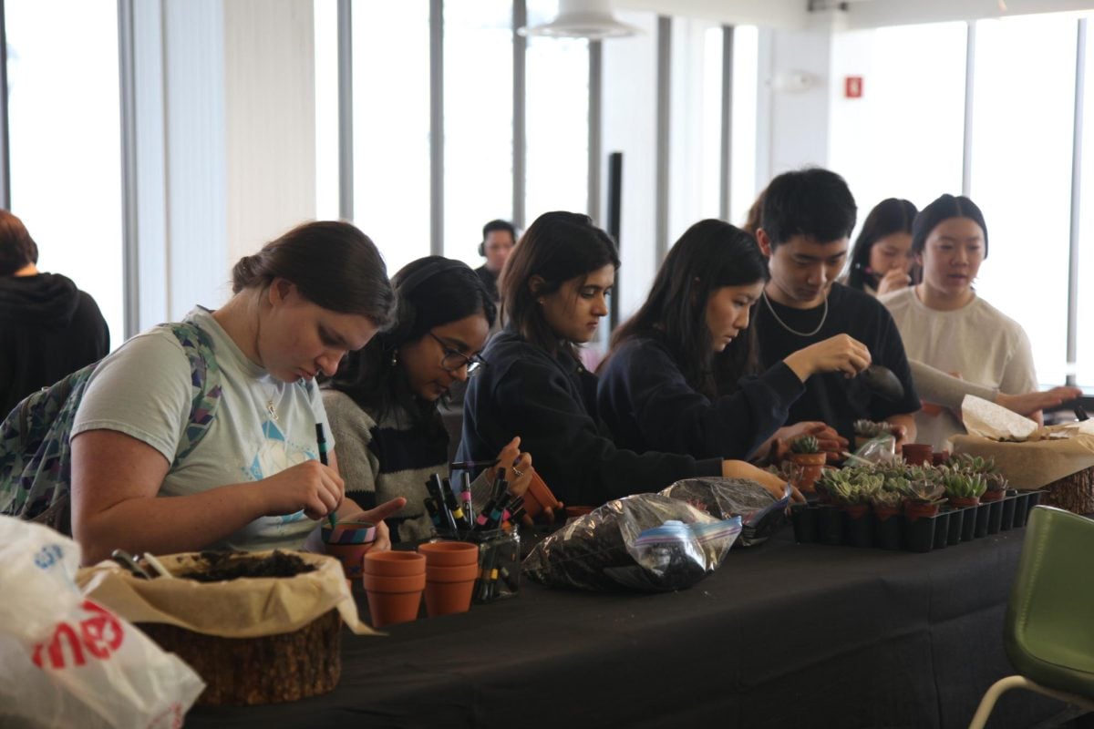 Students planted succulents with soil containing compost and decorated the pots.