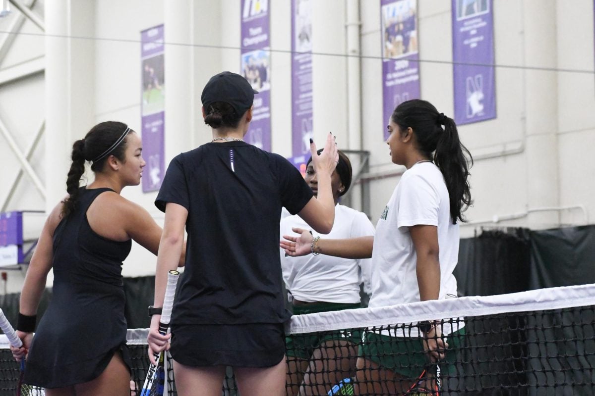Four tennis players shake hands over the net. Two of them wear black, and the other two wear white and green.