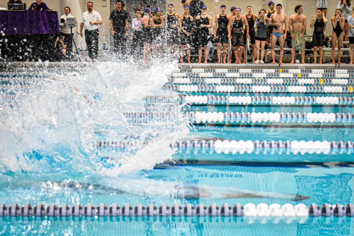 Male racers exhibit their form underwater while racing, while water splashes behind them upon entry into the water. Judges, coaches, and teammates look on.