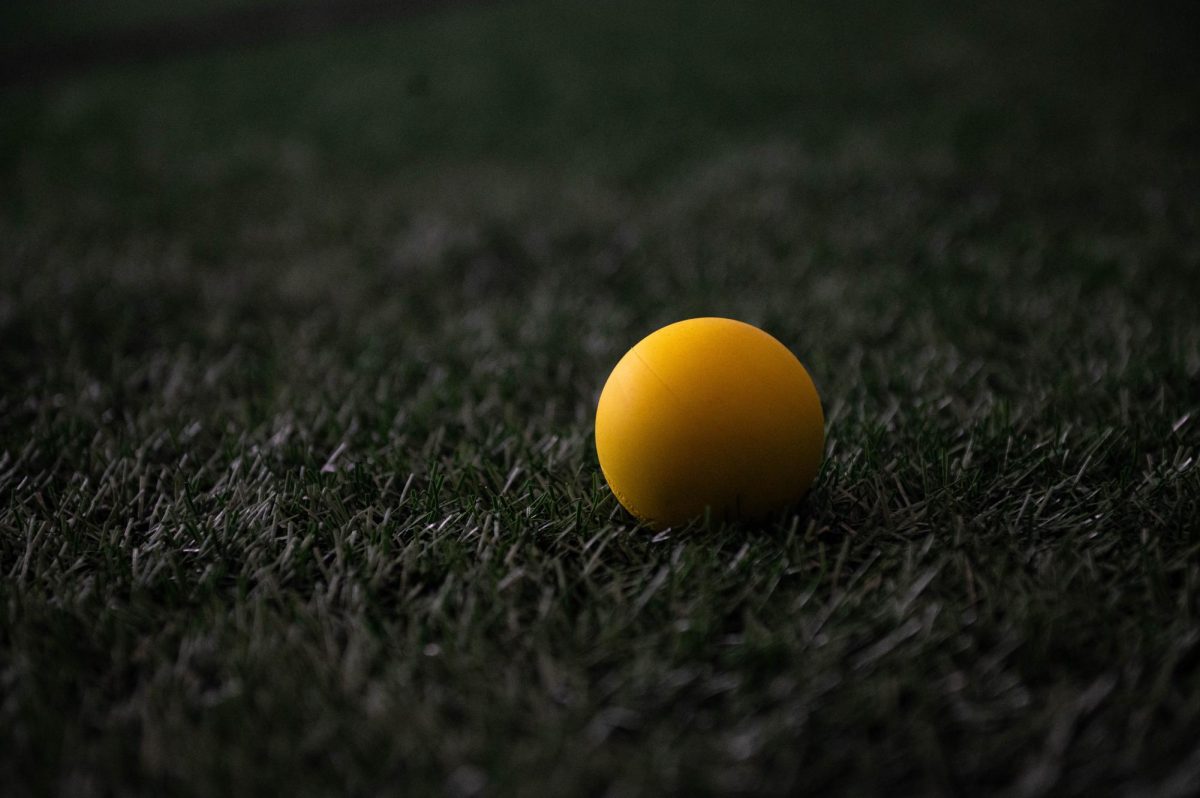 A lacrosse ball sits on the turf.