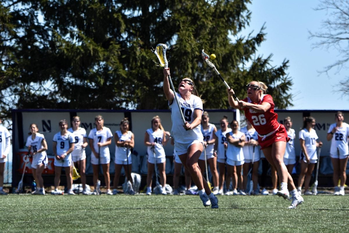 Lacrosse players wearing red and white hold their sticks up in the air in an attempt to win the ball.