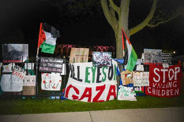 Hundreds of posters line the fence between Deering Meadow and Sheridan Road. The collection includes handmade artwork, flags and an assortment of printed flyers.