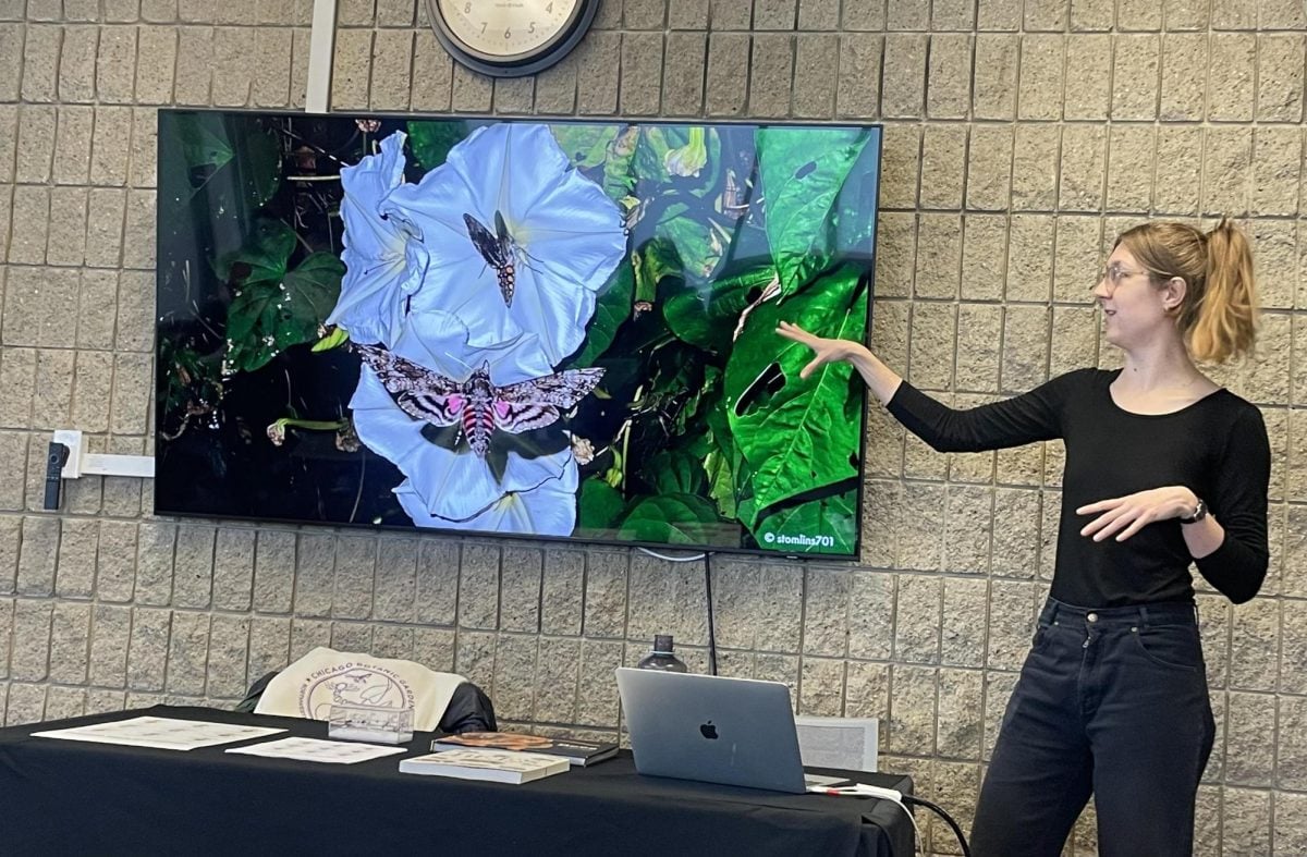 Jacquelyn Fitzgerald, a fifth-year Ph.D. candidate in plant biology and conservation, presented about the scientific properties of pollinators at Tuesday’s event.