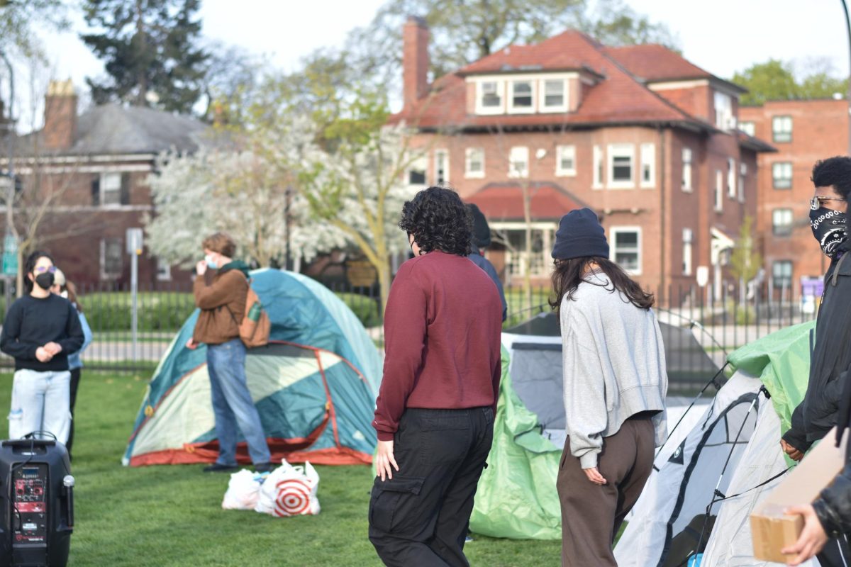 A group of people stand, watching fellow protesters put up tents.
