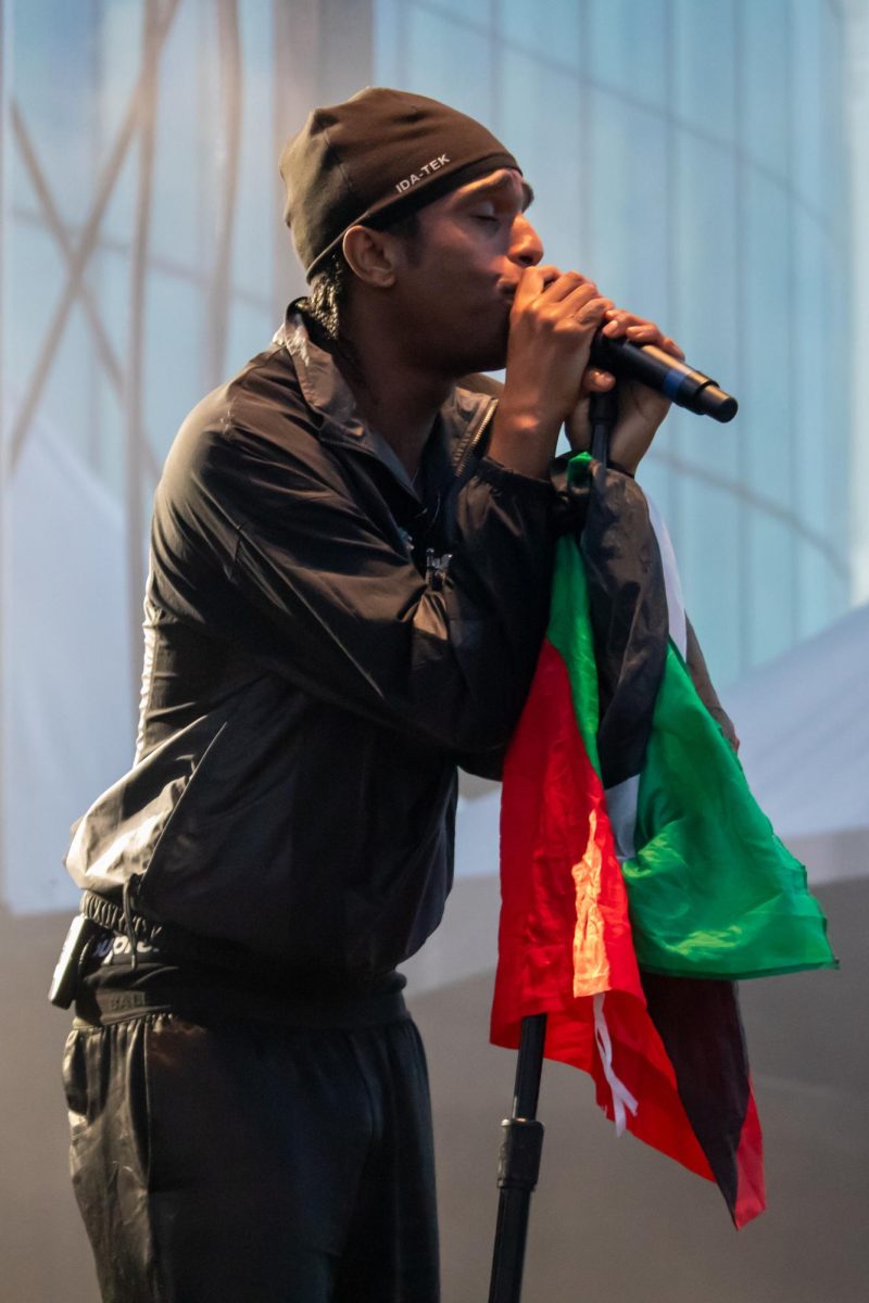 A person onstage wearing a black jacket sings into a microphone on a stand with a Palestinian flag wrapped around it.