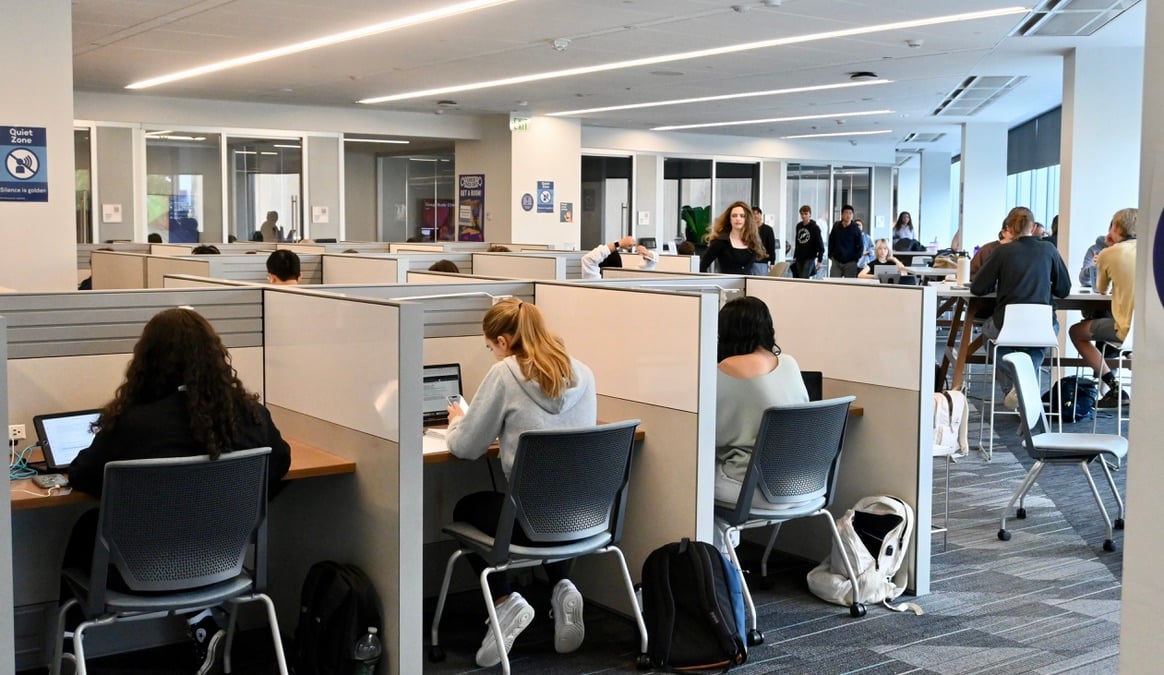 Students study in individual cubicles.