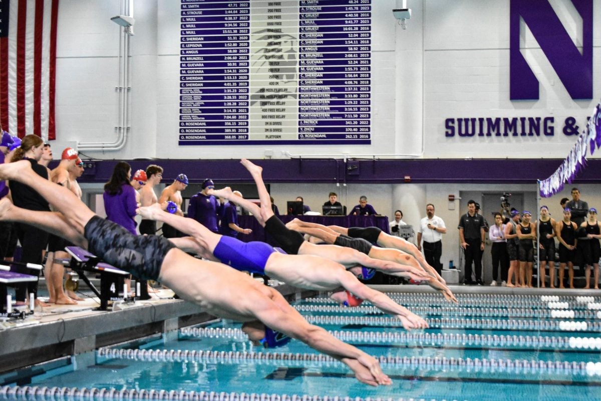 Northwestern swimmers dive into the pool.