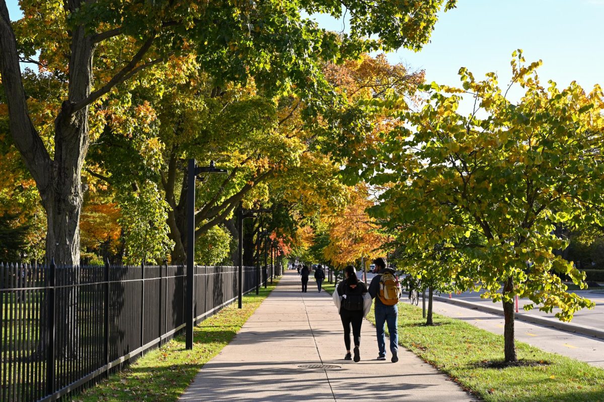 Professors who share a similar background to students provide them with a sense of security and understanding.