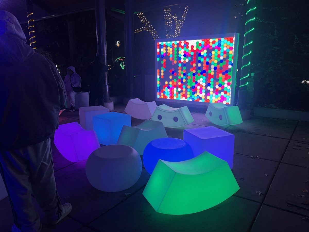 The Light Lounge is a family-friendly feature new to ZooLights. 