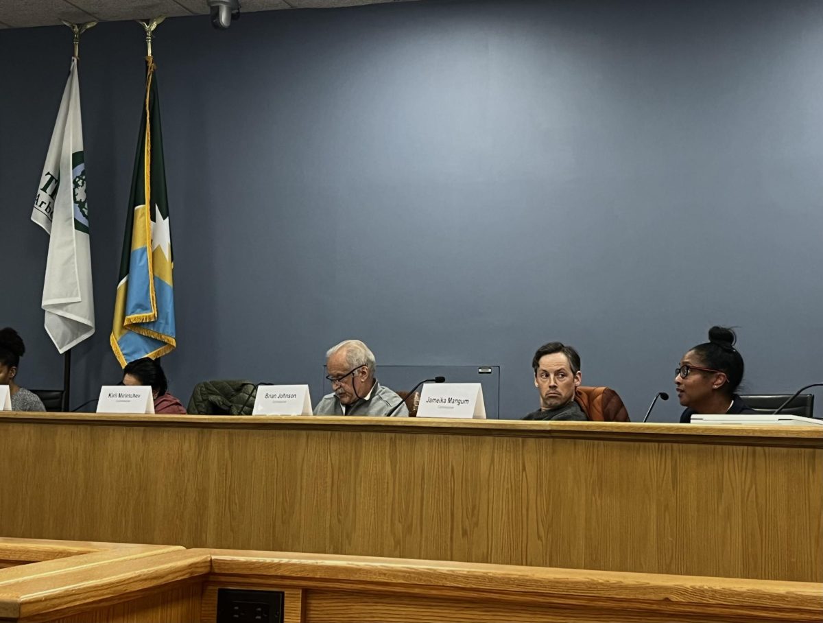 Commissioner Jameika Magnum addresses the Evanston Land Use Commission at a meeting Wednesday to discuss Envision Evanston 2045. Later, residents were invited to share their feedback on the plan.