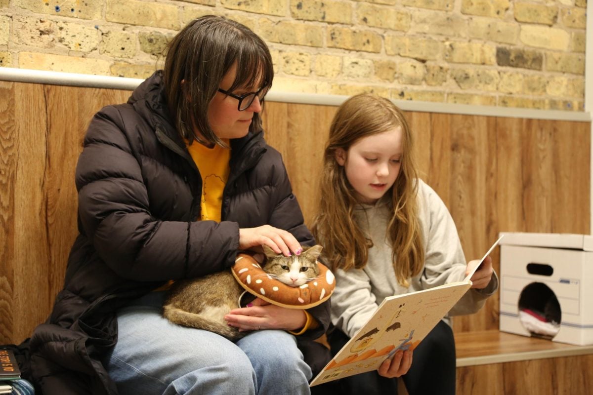 Edison Elementary School student Zora Schaffer and her mother, Kate Schaffer, read the picture book “Dragons Love Tacos” to Kentucky Fried Chicken, a cat at Paws and Claws Cat Rescue.