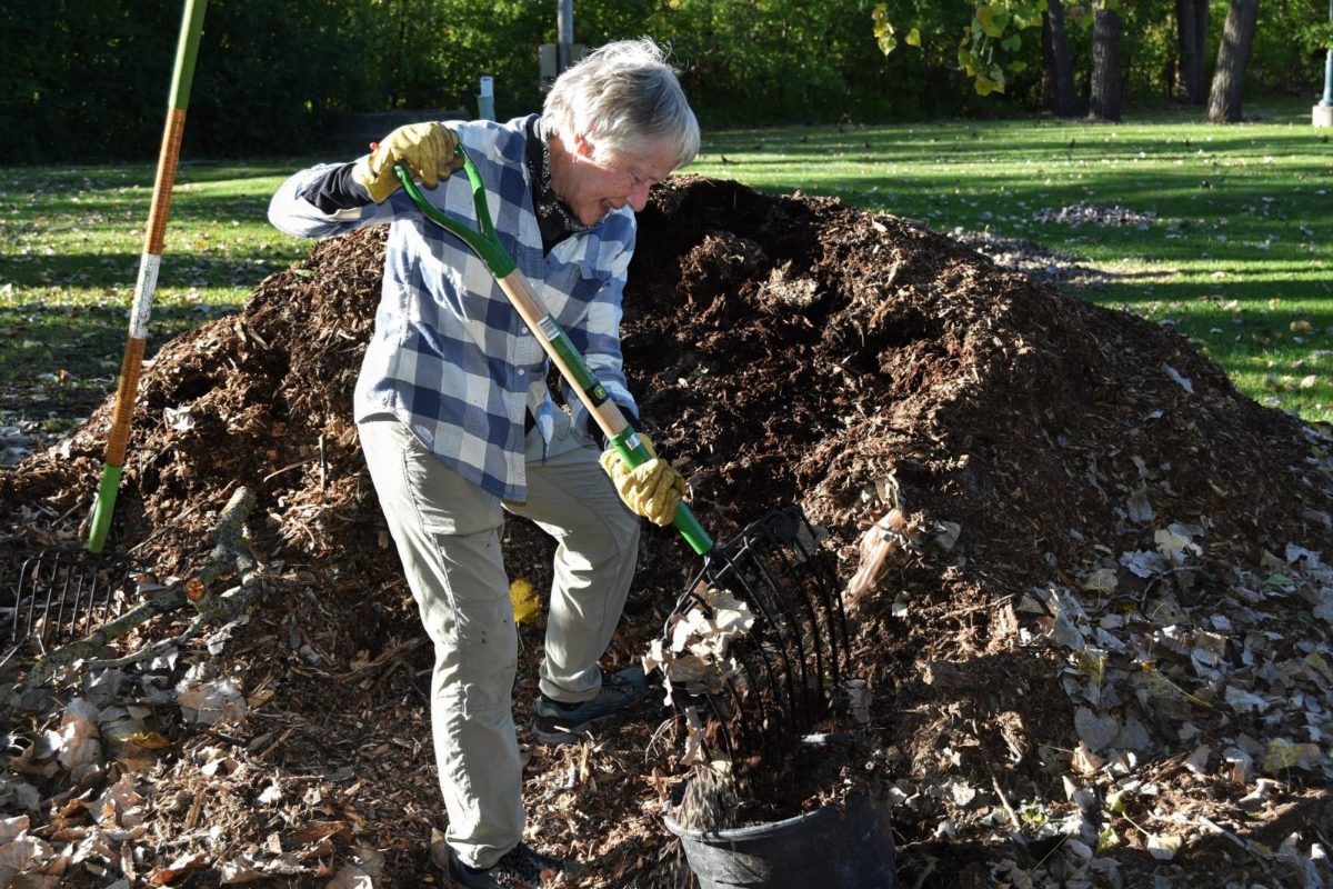 A woman with a rake and a pile of mulch.