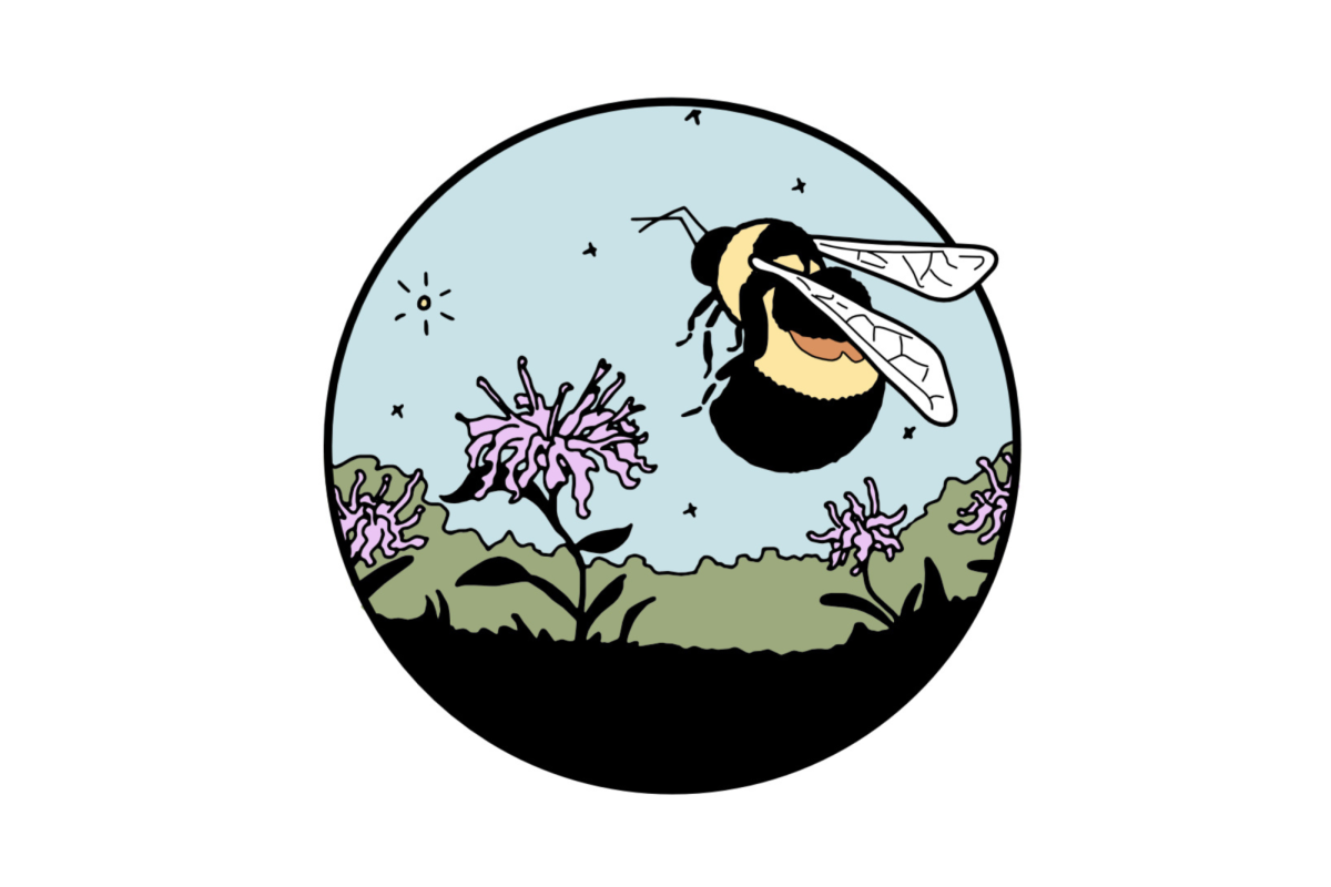 Graphic image of a bumblebee and native flowers