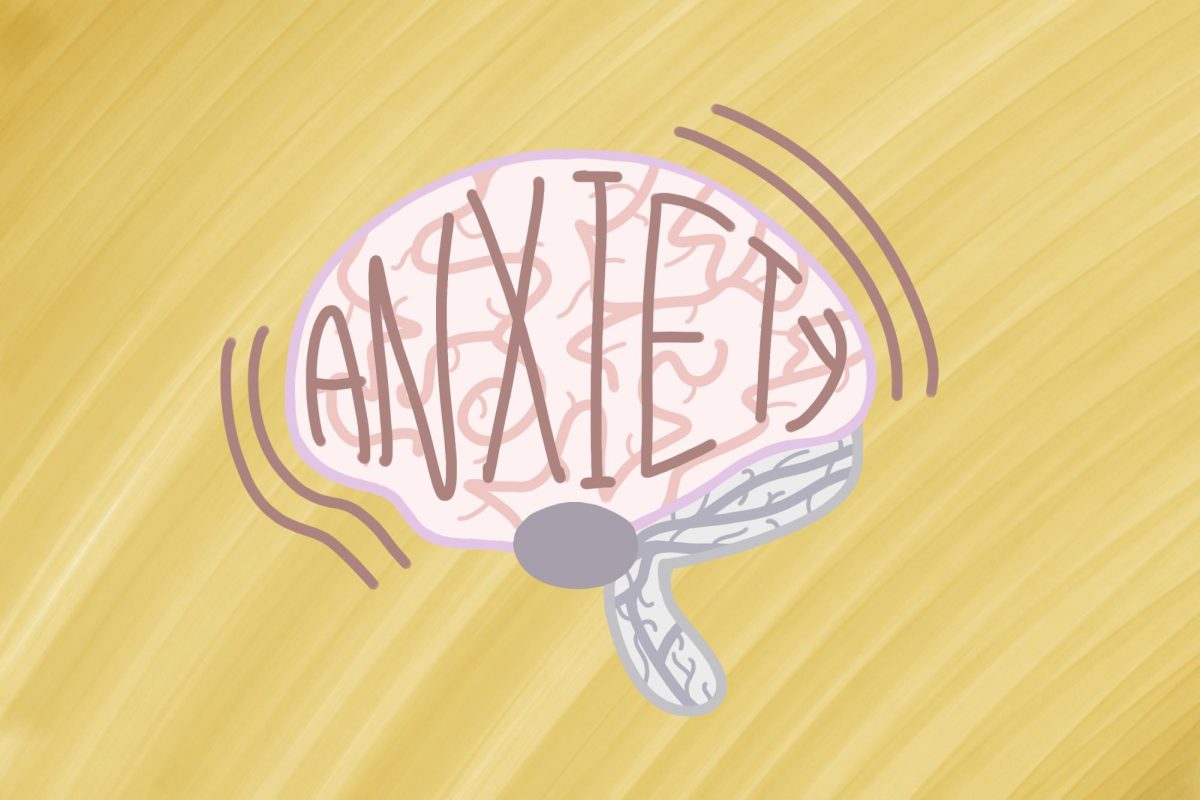  The American Psychiatric Association names anxiety disorders as the most common mental illness. 