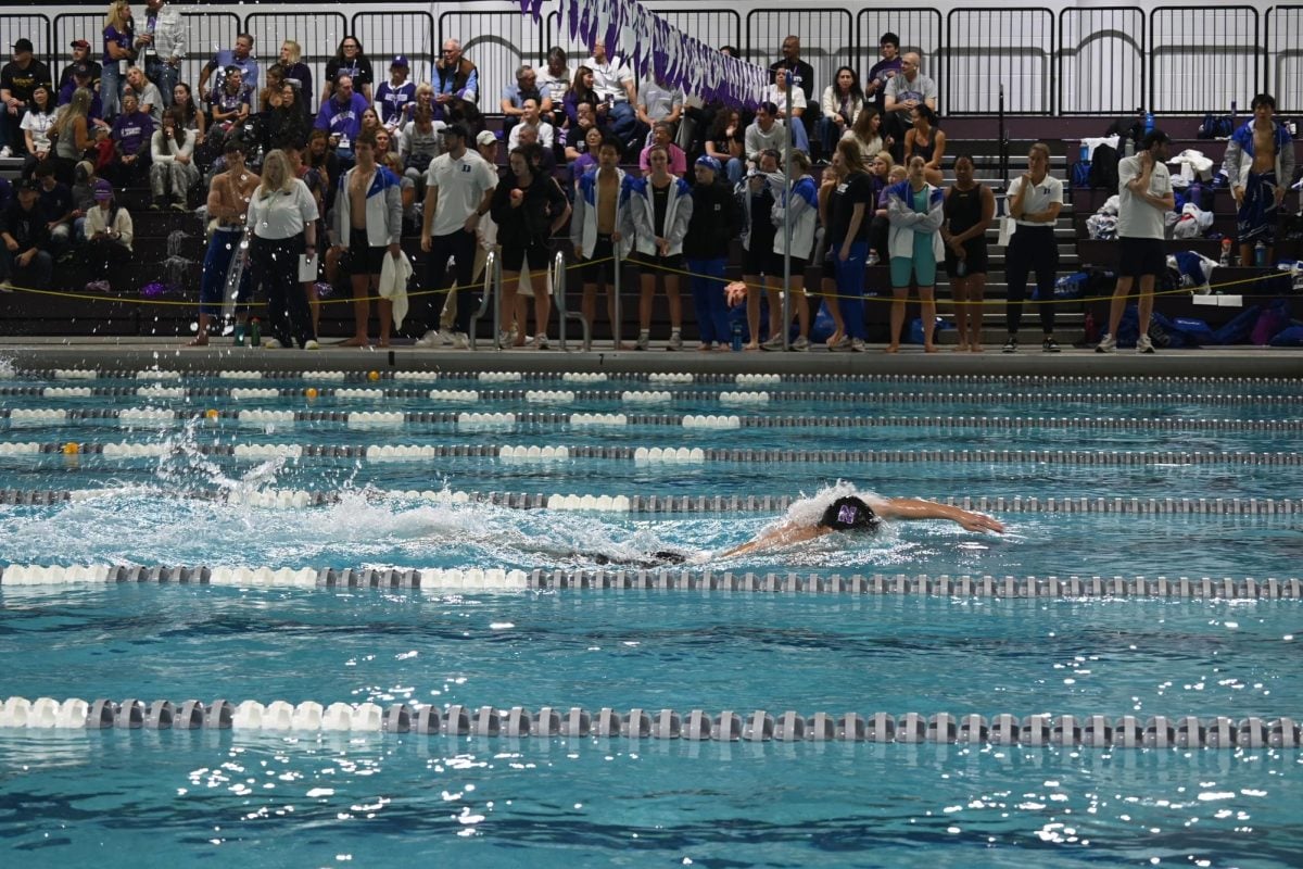 An NU swimmer races across the pool in a meet against Duke earlier this season.