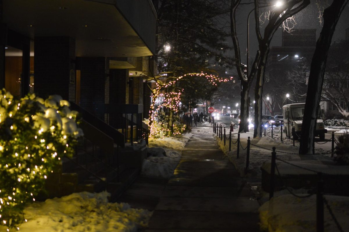 String lights on a bush and a tree light up a dark street.