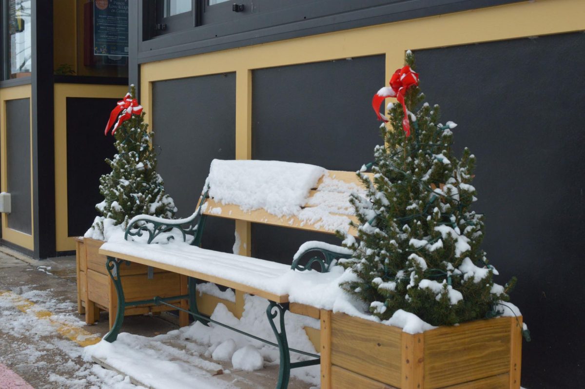 Two miniature trees with red bows on either side of a small bench, covered in snow.