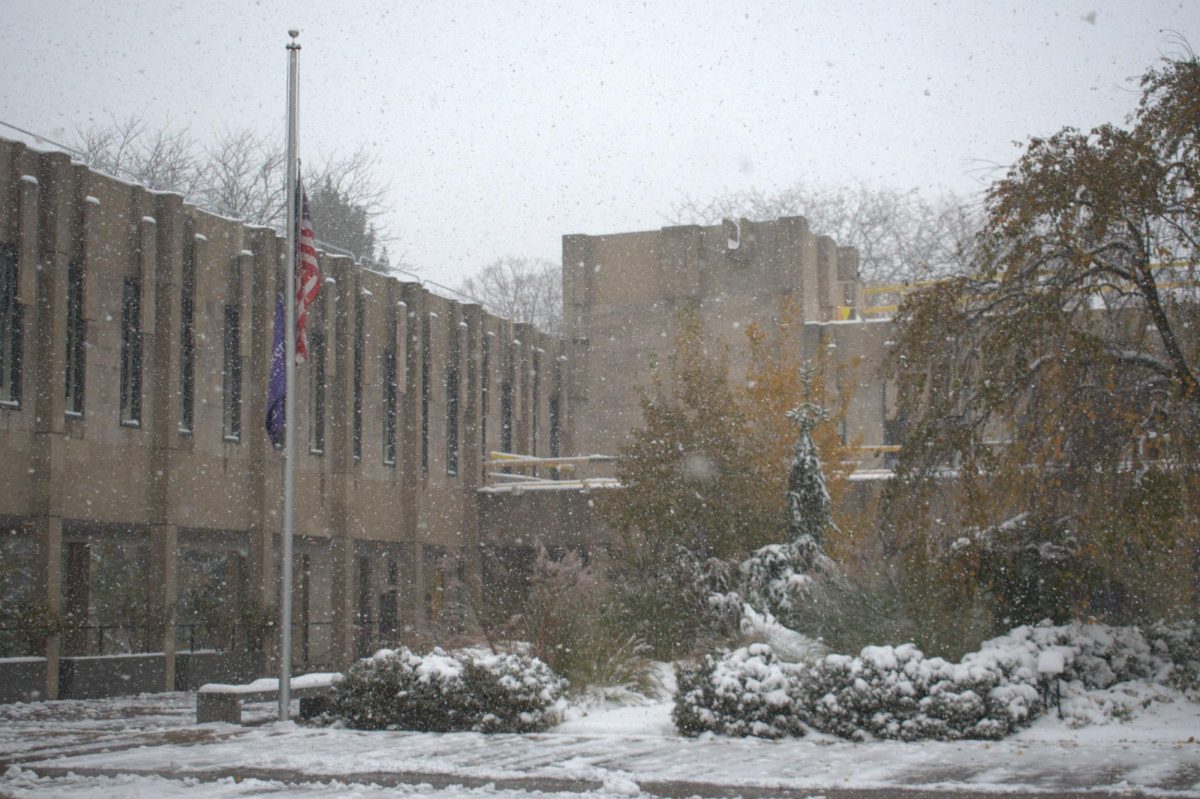 Snow falls in front of a building, trees and a flagpole.