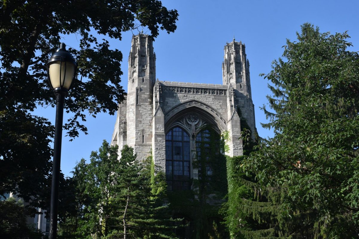 Southside of Deering Library surrounded by trees and one lamp.