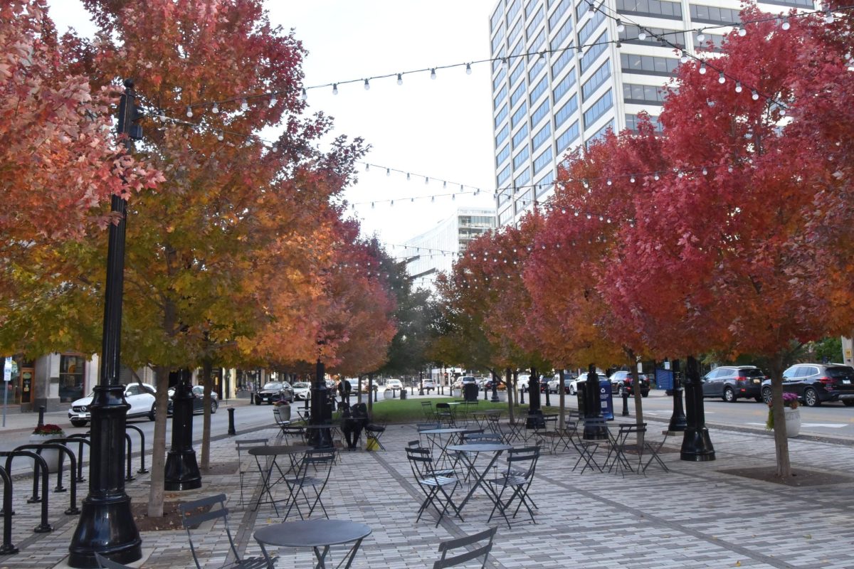 Fall trees with red and orange leaves next to Fountain Square.