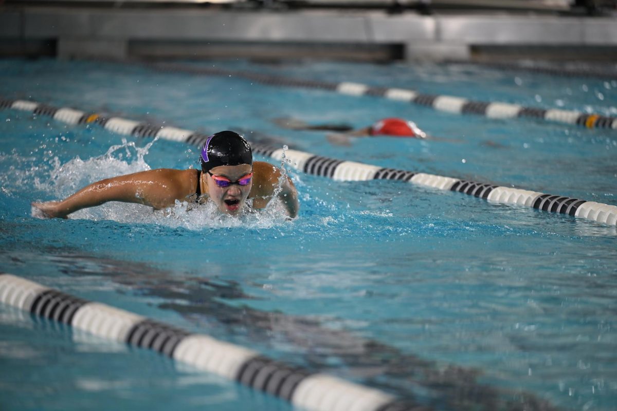 An athlete swims butterfly in a pool.
