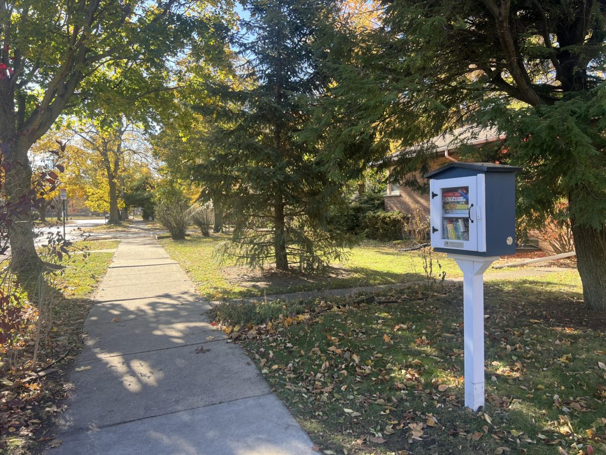A little free library sits alongside a sunlight residential sidewalk.