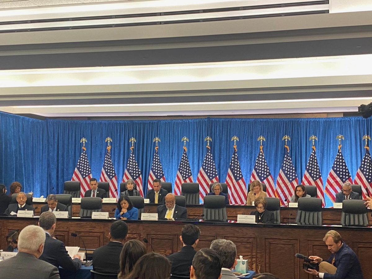 Nayna Gupta testifies in front of several lawmakers, seated in front of a row of American flags.