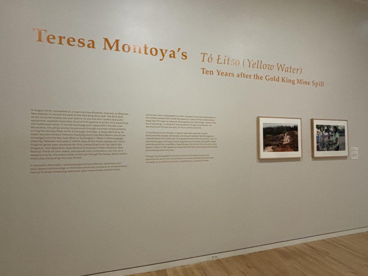The initial words on the wall describing the exhibit and two photographs on the wall that are part of it.