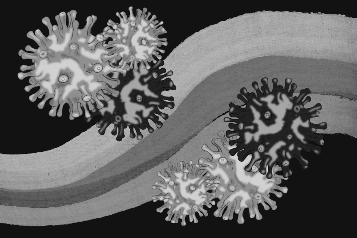 Coronavirus spike proteins.