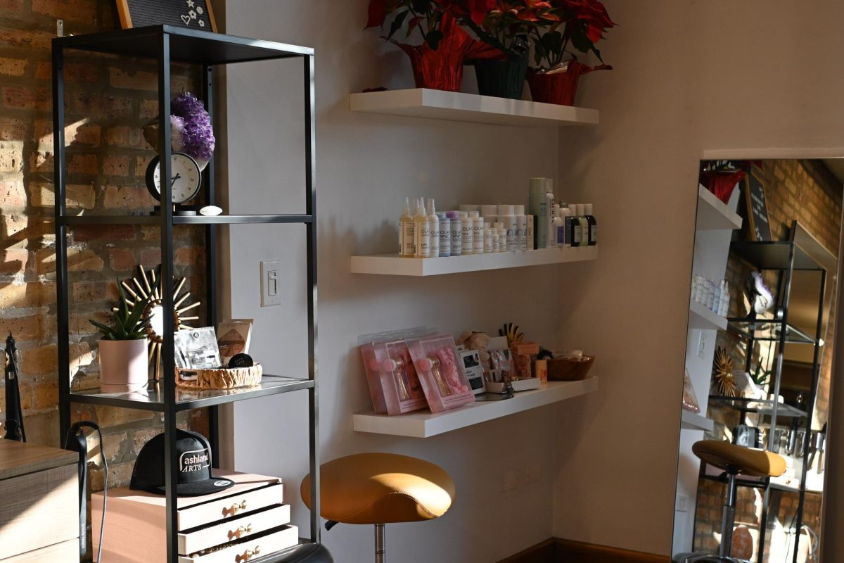 A neatly arranged corner with assorted hair products sitting on shelves is bathed in sunlight.